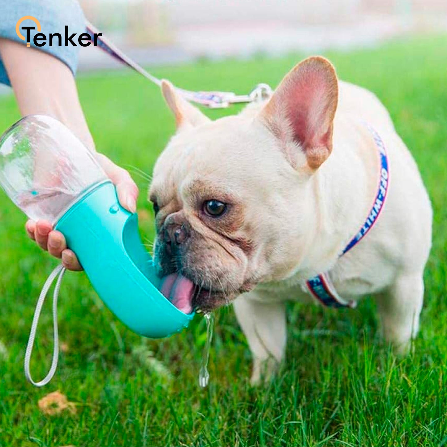 botella de agua para perros azul - lifestyle