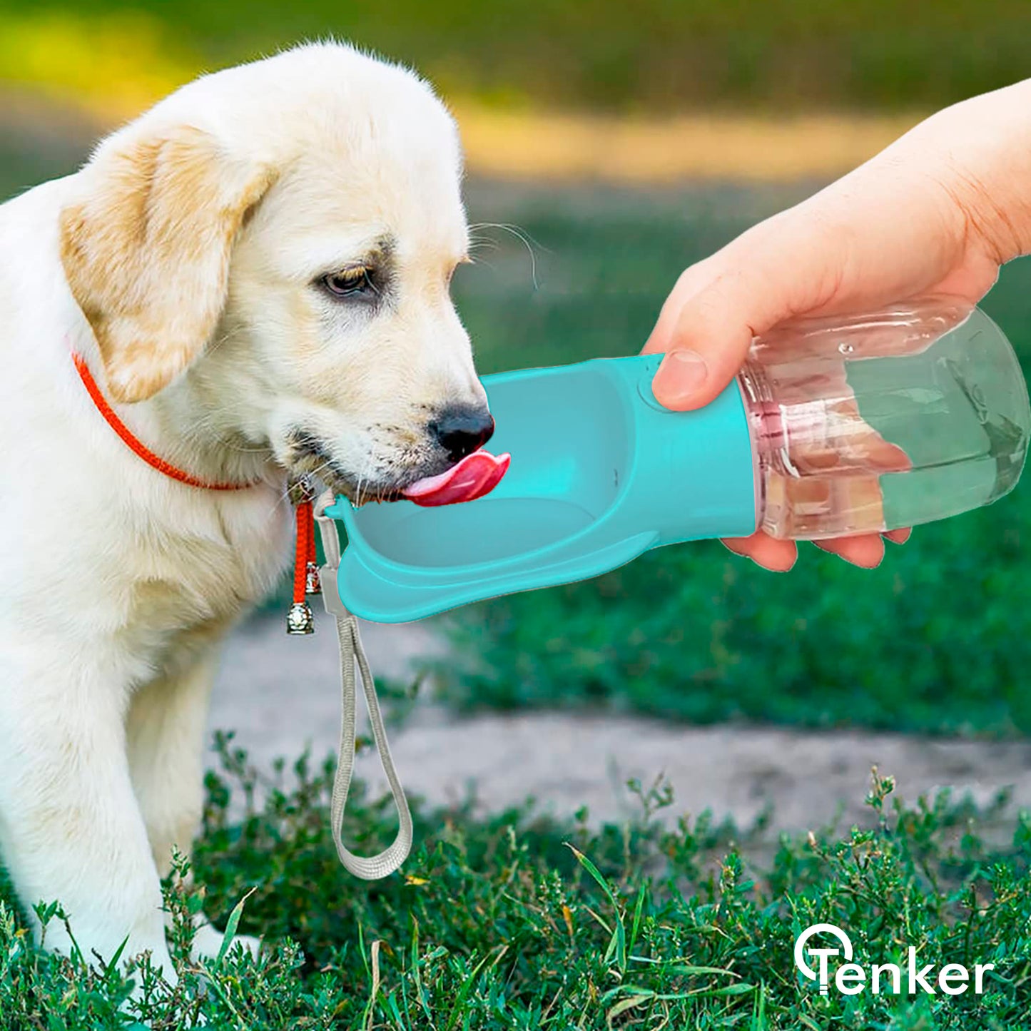botella de agua para perros azul - lifestyle 2