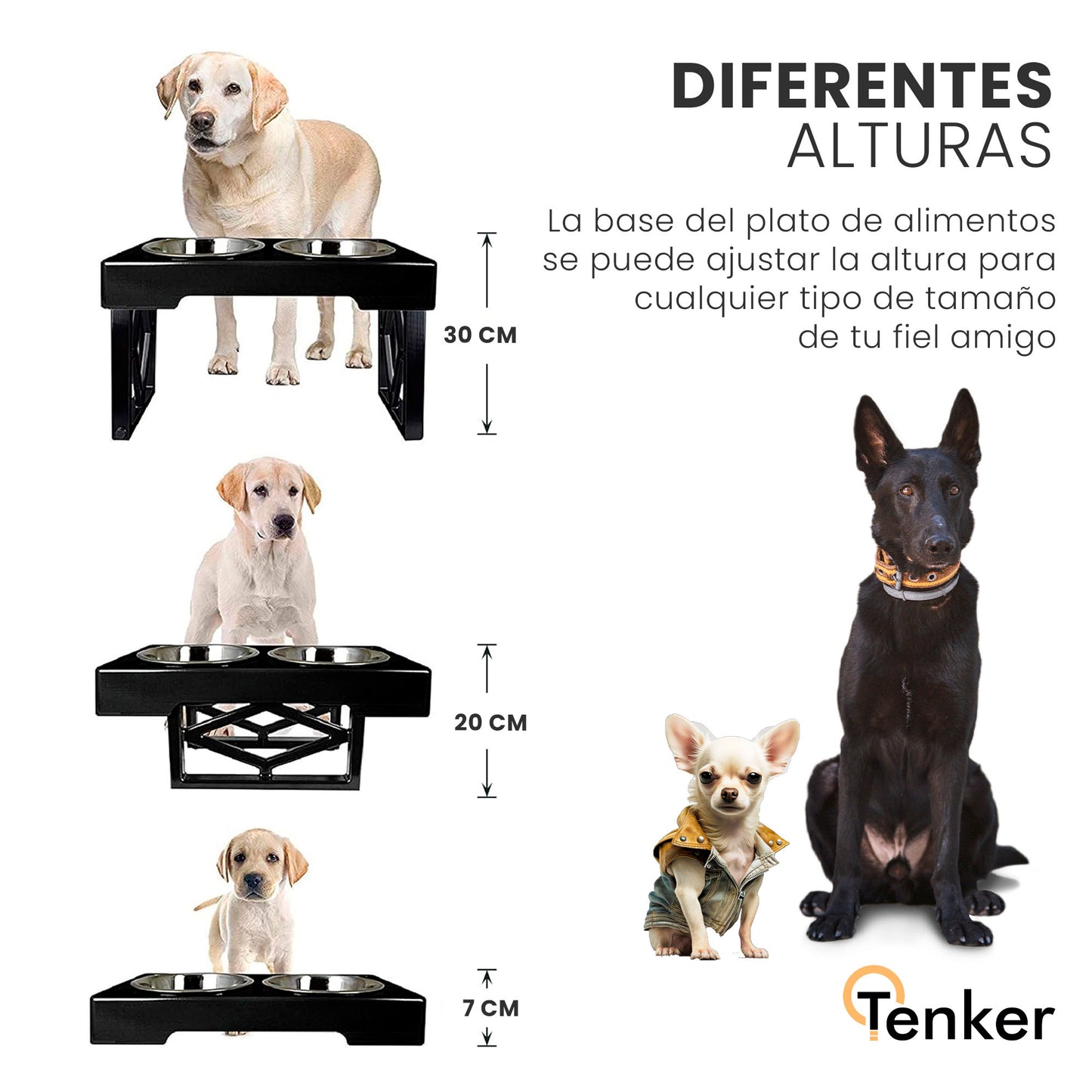 Cuenco Doble con Mesa Elevada para Perros y Gatos