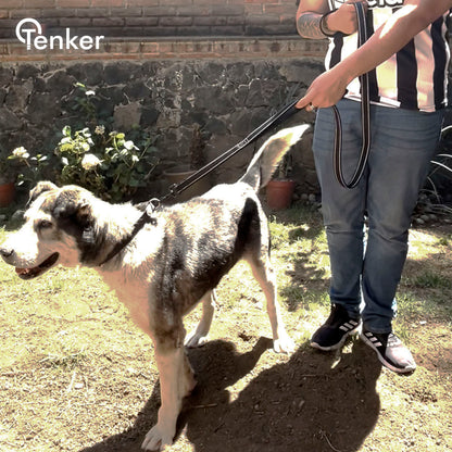 Correa Reflectante de Doble Capa con Asa Doble para Perros