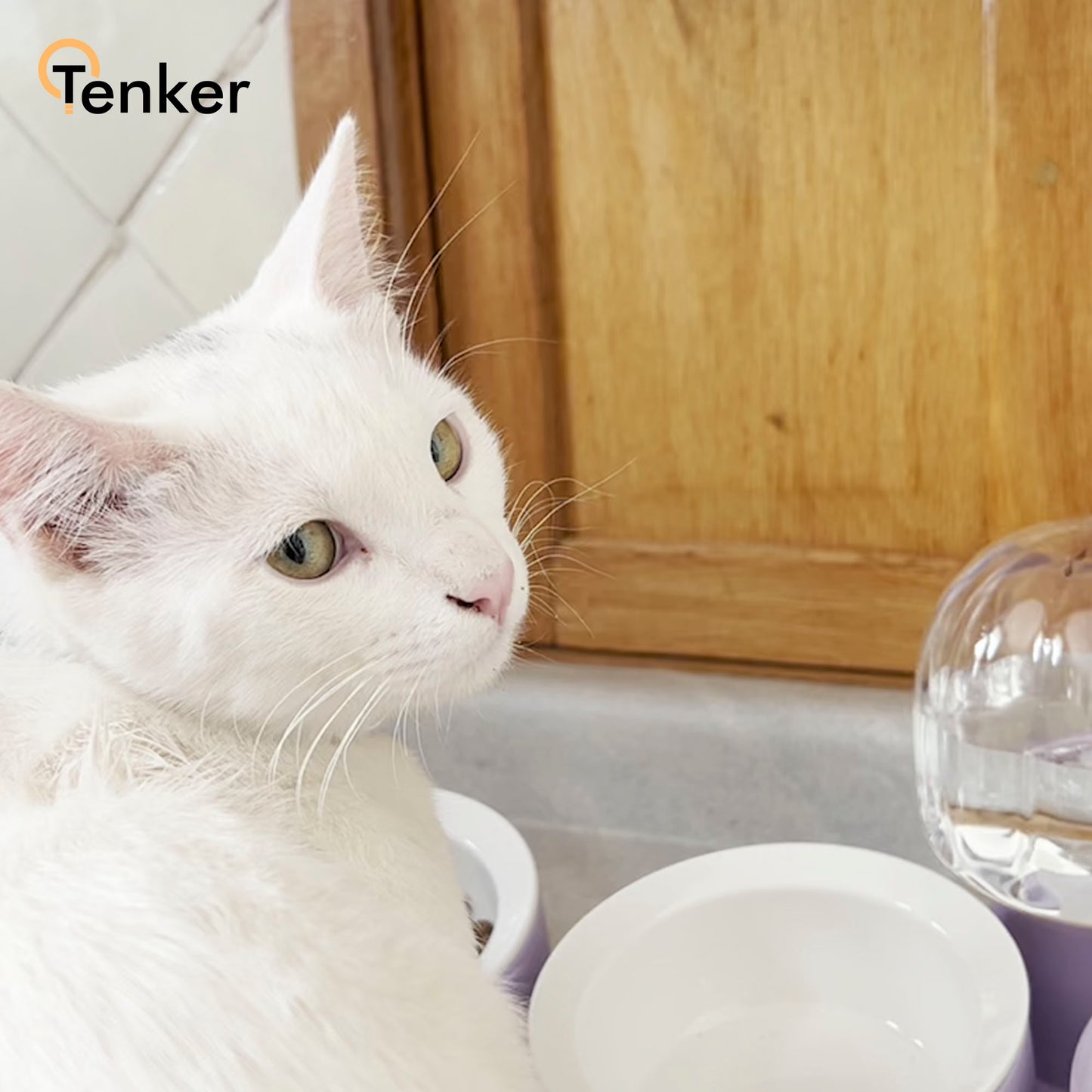 Bol/cuenco Multifunción para Mascotas, gatos y cachorros - Alimenta y Hidrata a tu Amigo Peludo con Estilo