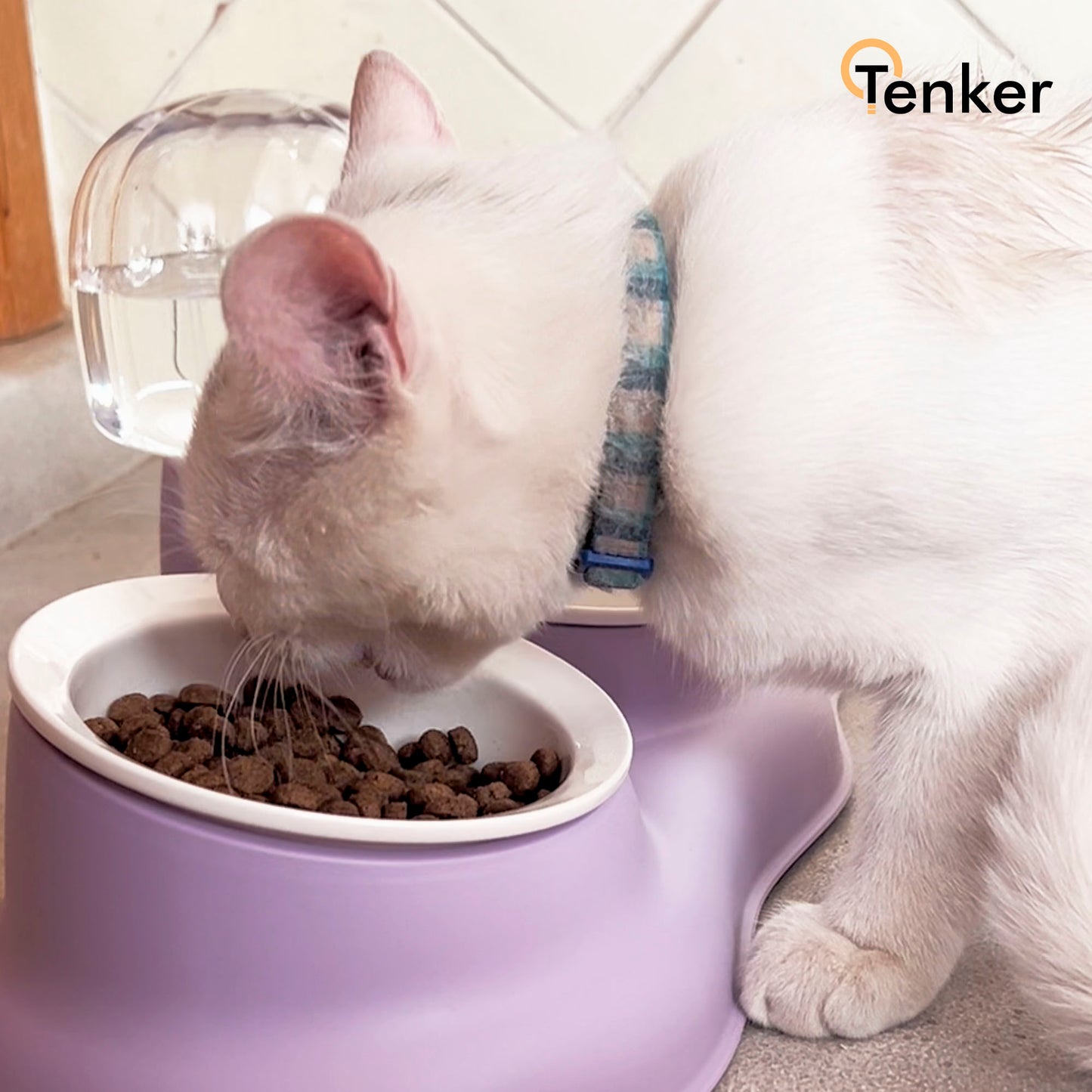 Bol/cuenco Multifunción para Mascotas, gatos y cachorros - Alimenta y Hidrata a tu Amigo Peludo con Estilo